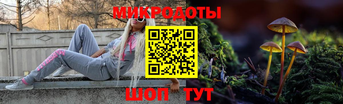 Шадринск  Псилоцибиновые грибы прущие грибы  Вход с VPN 