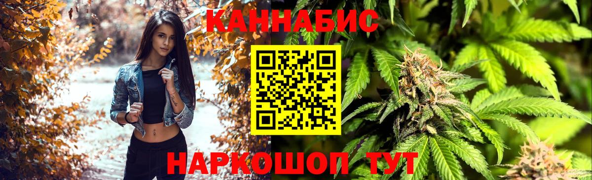 Бошки Шишки Amnesia Шадринск